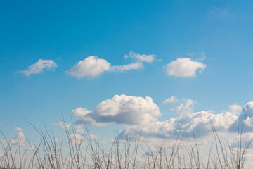 Blue sunny sky with clouds and mountains. Beautiful heaven. View trough grass. Peaceful and freedom concept