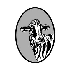 Cow head vector design, black and white color suitable for farm logos, symbols, stickers, companies etc.