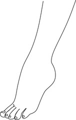 Bare female foot standing on tiptoe. Black and white linear silhouette.