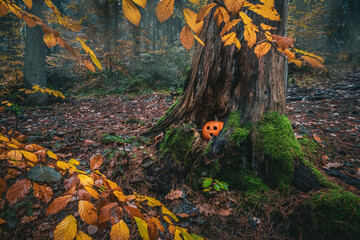 autumn in the park