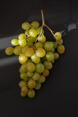 Berries of green bunch of grape in sunlight isolated on black background.