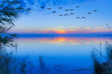Foto op Plexiglas amanecer azul en el mar  © kesipun