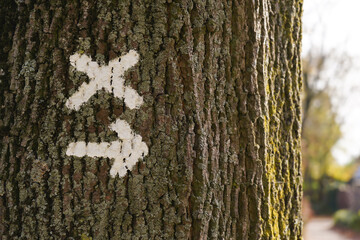 Zeichen mit Pfeil am Baum