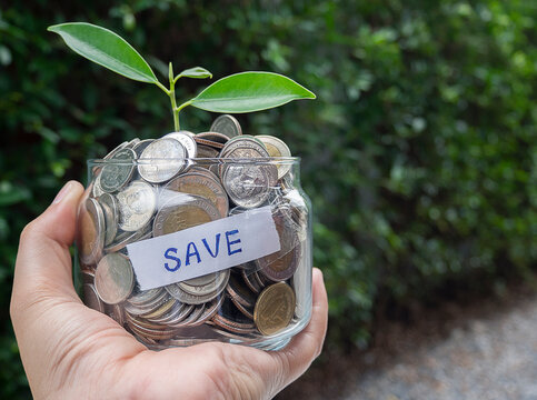 Hand holding  jug glass with plant growing on money. Concept saving finance and accounting.