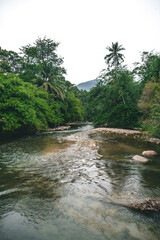 Fototapeta na wymiar Wide river going through the rainforest trees.