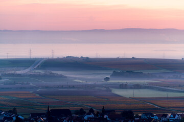 hilly landscape with vineyards in autumn morning fog