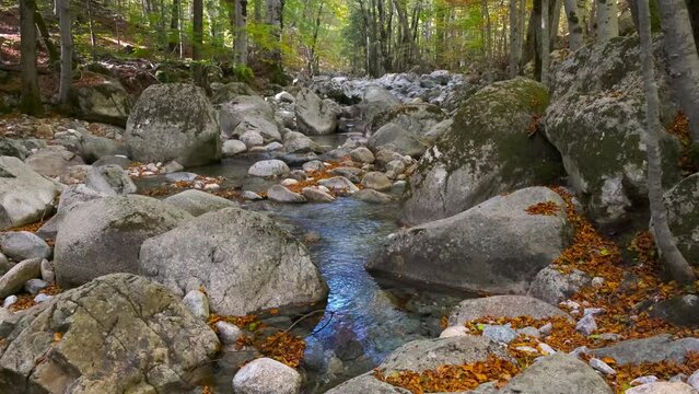 L'Agnone river passes through the forest of Vizzavona alongside the GR20 trail in Corsica