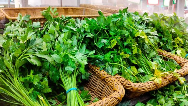 Frash Green Vegetables and vegetation with drops of water steam on the store counter.