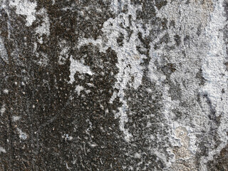 surface of old cement wall for the design texture background