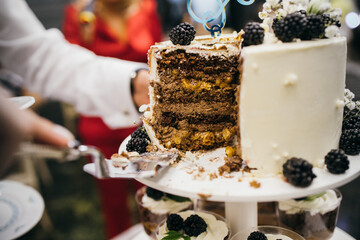 Three chocolates cake with chocolate drips