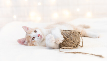 cute ginger fluffy kitten cat playing with christmas red decorations. High quality photo