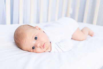 cute newborn baby on tummy in crib on cotton bed at home, healthy sleep concept