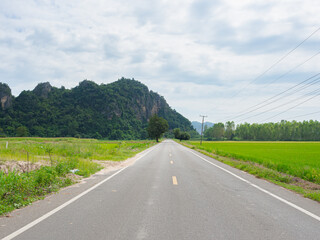 Fototapeta na wymiar Empty grey asphalt road between mountains and fresh meadows on cloudy sky background.