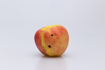 Red rotten apple concept eaten by worms