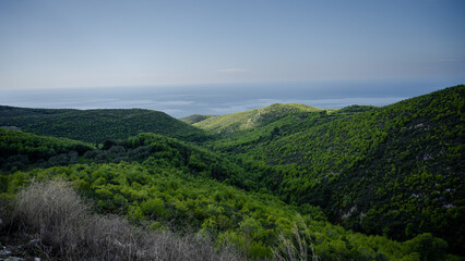 Fototapeta na wymiar Grüne Landschaft mit Blick auf das Meer