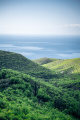 Naklejka premium Grüne Landschaft mit Blick auf das Meer