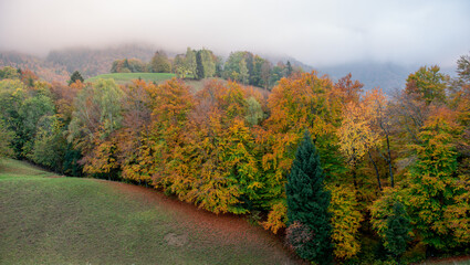 Fototapeta premium hill with trees