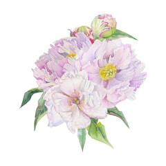 Watercolor bouquet arrangement with hand drawn delicate pink peony flowers, buds and leaves. Isolated on white background. For invitations, wedding, love or greeting cards, paper, print, textile