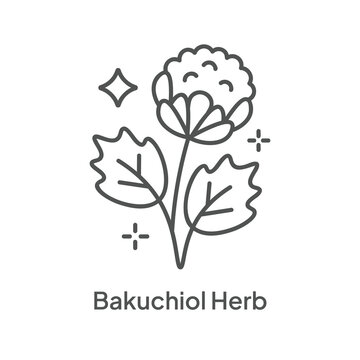 Bakuchiol Herb Ingredient Quality Icon