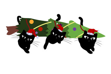 Set of cats in Santa Claus hats. Domestic kitten  under Christmas tree. Black silhouette of cat head. 