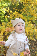 little girl in in autumn park
