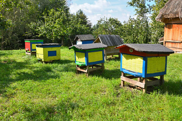 Wooden colorful beehives in a meadow on a summer day