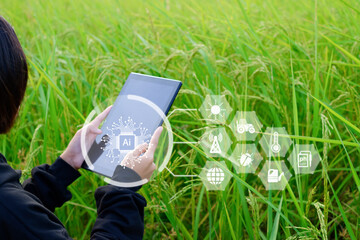 Innovative Smart Farm System Technology, Agricultural Management Mobile smartphone with smart technology concept, to store data for study.