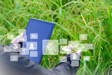 Innovative Smart Farm System Technology, Agricultural Management Mobile smartphone with smart...