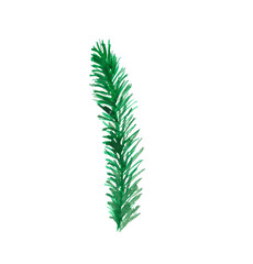 Hand-drawn fir branch.Isolated illustration in png.Decorative element for the design of invitations,Christmas cards,banners,promotional materials