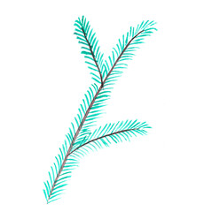 Naklejka premium Hand-drawn fir branch.Isolated illustration in png.Decorative element for the design of invitations,Christmas cards,banners,promotional materials