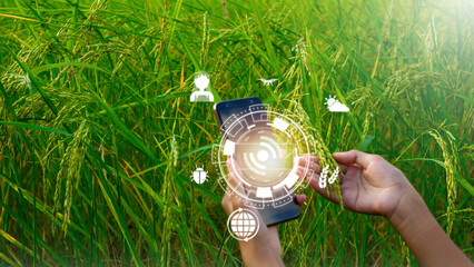 Innovative Smart Farm System Technology, Agricultural Management Mobile smartphone with smart...