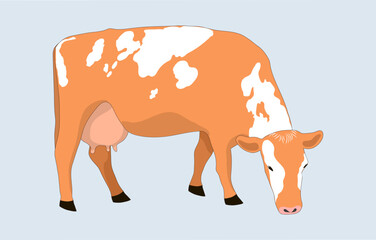 A cash cow is grazing in a field, eating grass. Milkmaid in the meadow. A plant that feeds on organic meadows. isolated flat vector illustration of a dairy farm