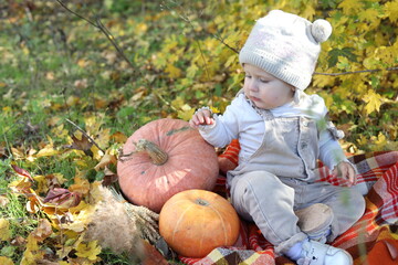 child with pumpkin
