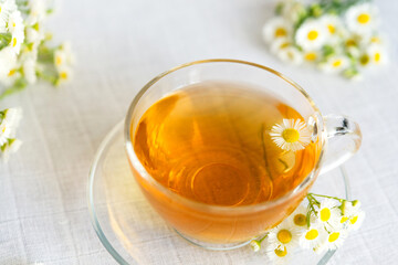 cup of herbal tea with chamomile flowers