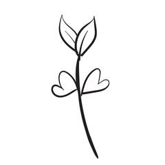 floral line art flower illustration