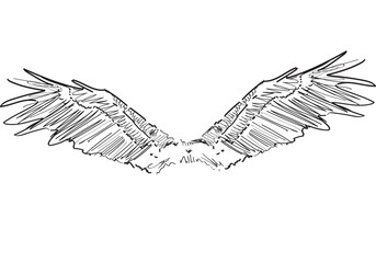 Fototapeta premium angel wings vector linear illustration isolated on white background flying bird symbol