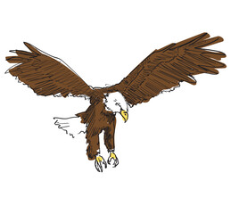 colored white head american eagle animal linear drawing vector isolated on white background