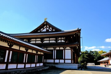 奈良、薬師寺，寺院、日本古来の建築物、伝統的な建築物、木造、ビデオ映像