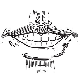 mouth drawing anatomy smile teeth talking anatomy face line draw illustration on white background