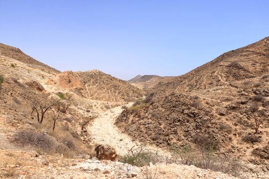 Landscape with Frankincense trees in Dhofar mountains, Oman