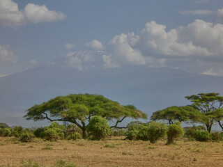 View on Mount Kilimanjaro with clouds cover