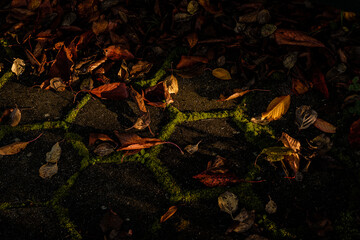 details in the ground