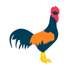 Cock Rooster Vector. Farm animals Vector Illustrasion.