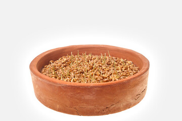 Sprouted wheat on a white background in a clay bowl.