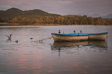 Barcas en el lago de Banyoles una mañana de otoño