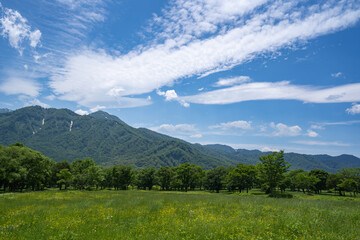 Fototapeta premium 夏の筋状の雲が美しい妙高高原の景色