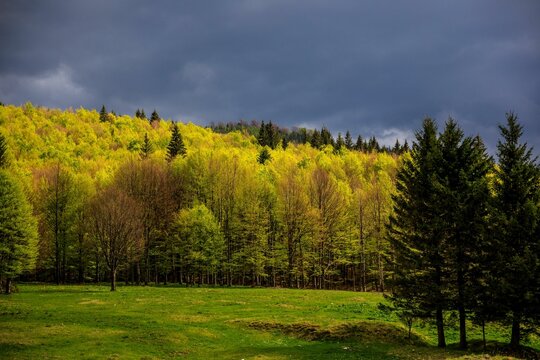 Beautiful view of the Ciucas Mountain with grass under blue cloudy sky, Romania