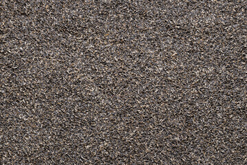 Ageratum flower seeds background. Seed for planting.