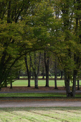 Arbres aux feuilles colorées en automne dans un parc