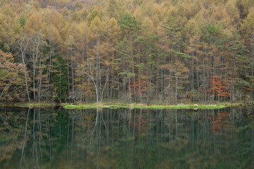 秋色の御射鹿池